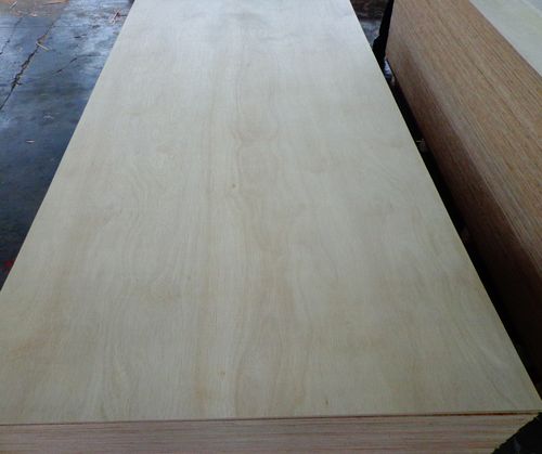 广西桂林桉木胶合板
