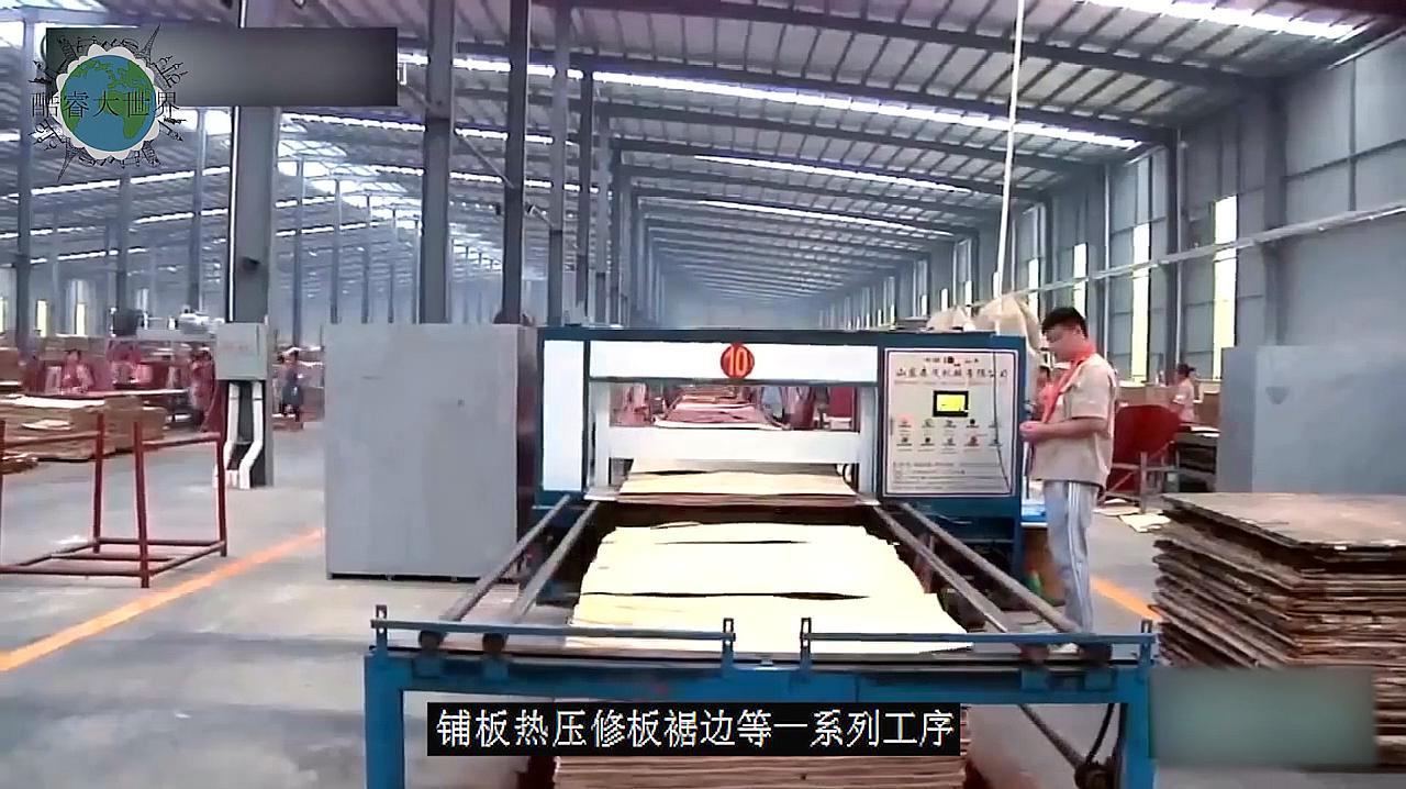 胶合板生产厂家视频