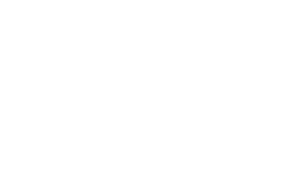 caravel是什么意思中文